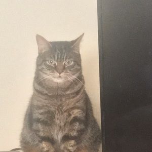 Meet your Posher, Jamall